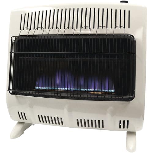 Mr. Heater 30,000 BTU Vent-Free Blue Flame Dual Fuel Heater