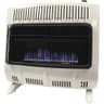 Mr. Heater 30,000 BTU Vent-Free Blue Flame Dual Fuel Heater